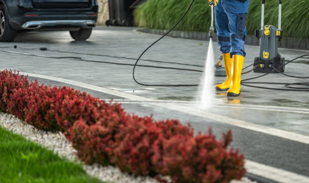 Best Gutter Cleaning  in Newfield, NJ
